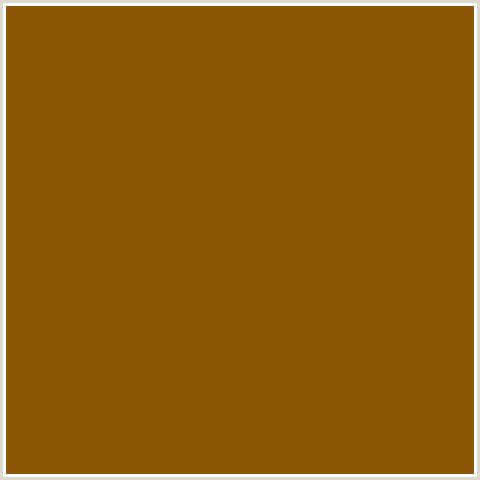 8B5707 Hex Color Image (ORANGE, RUSTY NAIL)