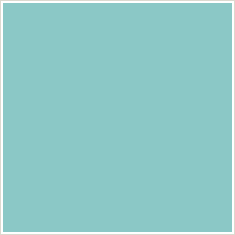 8BC8C6 Hex Color Image (AQUA, HALF BAKED, LIGHT BLUE)