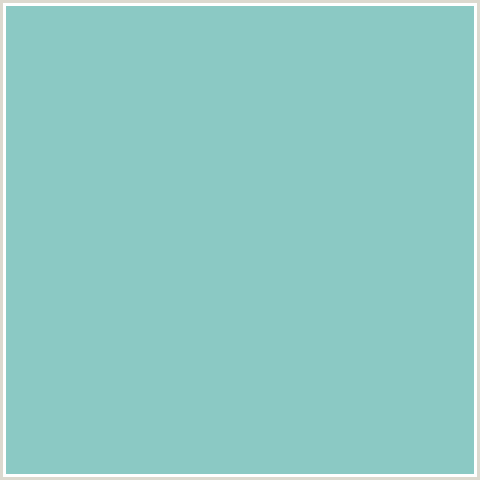 8BC9C4 Hex Color Image (AQUA, HALF BAKED, LIGHT BLUE)