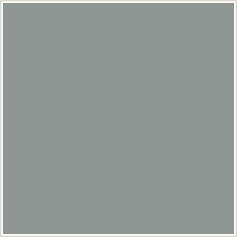 8F9794 Hex Color Image ()