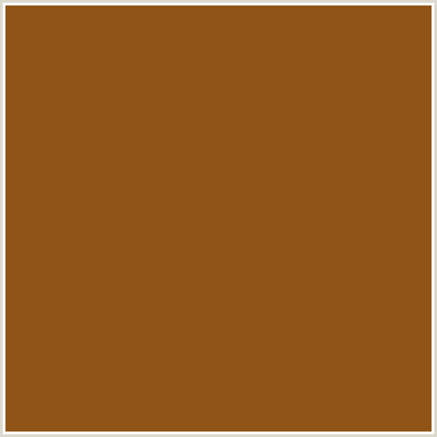 915417 Hex Color Image (HAWAIIAN TAN, ORANGE)