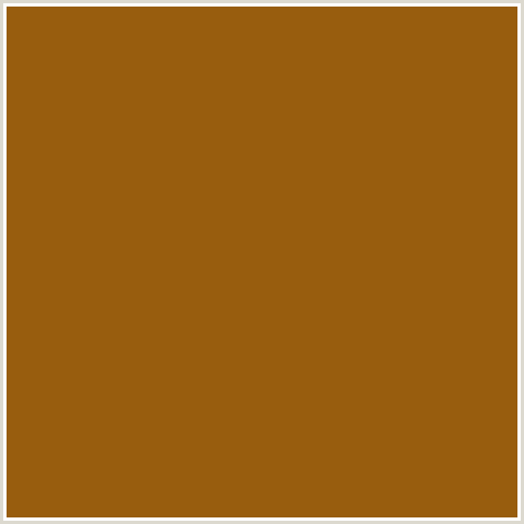 985D0E Hex Color Image (KORMA, ORANGE)