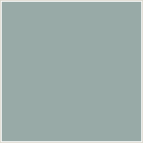 98AAA7 Hex Color Image ()