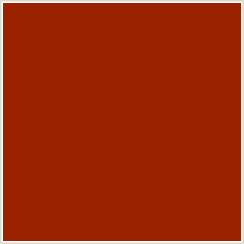 9A2200 Hex Color Image (RED ORANGE, TOTEM POLE)