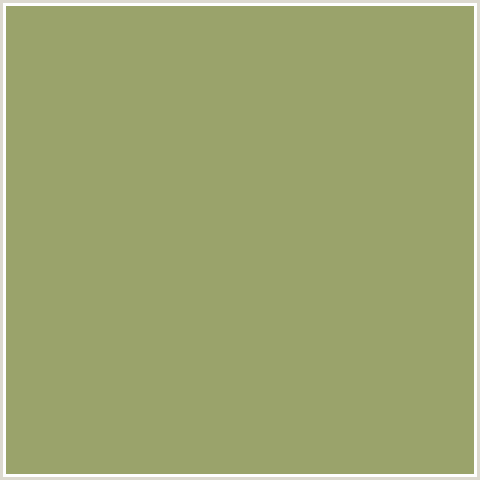 9AA36B Hex Color Image (GREEN SMOKE, GREEN YELLOW)