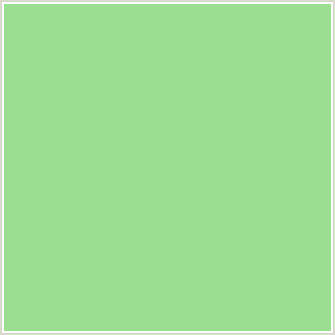 9ADF8F Hex Color Image (GRANNY SMITH APPLE, GREEN)