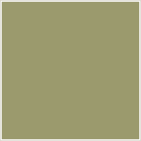 9B9A6D Hex Color Image (GURKHA, YELLOW)