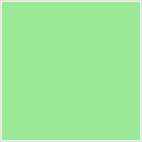 9BE897 Hex Color Image (GRANNY SMITH APPLE, GREEN)