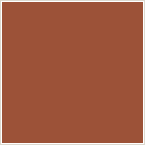 9C5238 Hex Color Image (RED ORANGE, SEPIA SKIN)