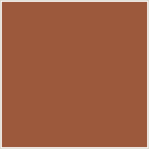 9C593C Hex Color Image (RED ORANGE, SEPIA SKIN)