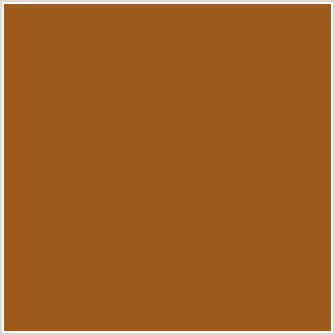 9C5A1C Hex Color Image (HAWAIIAN TAN, ORANGE RED)