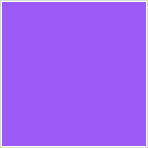 9C5BF9 Hex Color Image (BLUE VIOLET, HELIOTROPE)