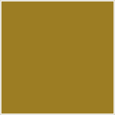 9C7D23 Hex Color Image (ORANGE YELLOW, REEF GOLD)