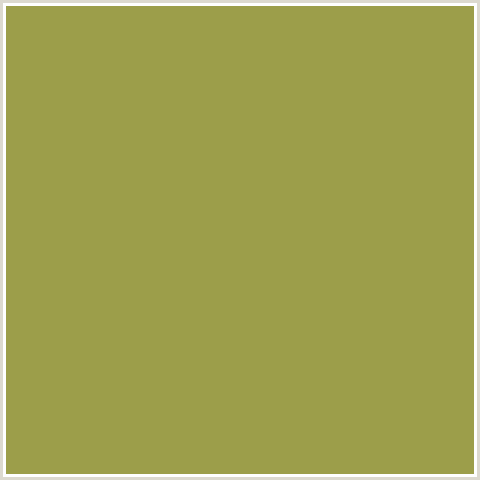 9C9E4A Hex Color Image (LIMED OAK, YELLOW GREEN)