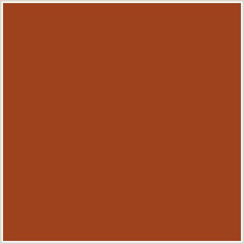 9E421D Hex Color Image (COGNAC, RED ORANGE)