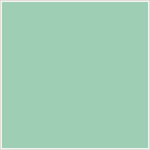 9ECEB4 Hex Color Image (GREEN BLUE, SHADOW GREEN)