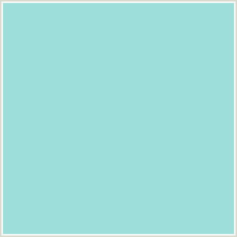 9EDEDA Hex Color Image (AQUA, LIGHT BLUE, MORNING GLORY)