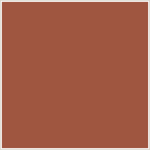 9F5640 Hex Color Image (RED ORANGE, SEPIA SKIN)