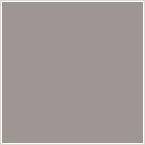 9F9593 Hex Color Image (RED ORANGE, ZORBA)
