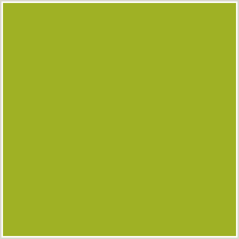 9FB125 Hex Color Image (CITRON, YELLOW GREEN)