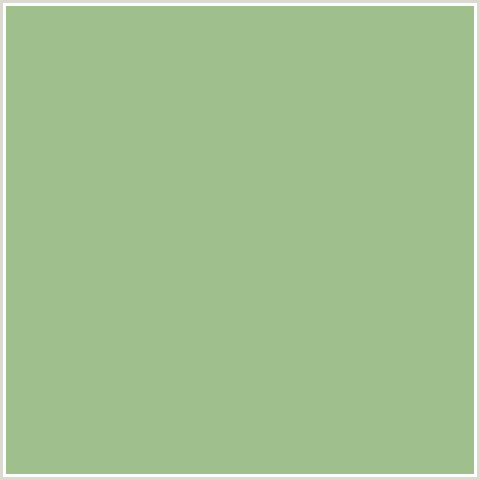 9FBF8C Hex Color Image (GREEN, SWAMP GREEN)