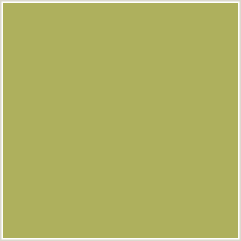 AEB05D Hex Color Image (OLIVE GREEN, YELLOW GREEN)