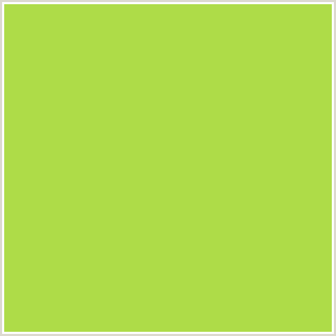 AEDC48 Hex Color Image (CONIFER, GREEN YELLOW)