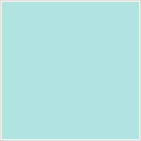 B1E3E0 Hex Color Image (AQUA, LIGHT BLUE, POWDER BLUE)