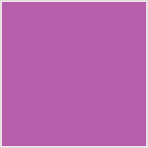 B65DAB Hex Color Image (DEEP PINK, FUCHSIA, FUCHSIA PINK, FUSCHIA, HOT PINK, MAGENTA)