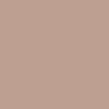 BD9F91 Hex Color Image ()