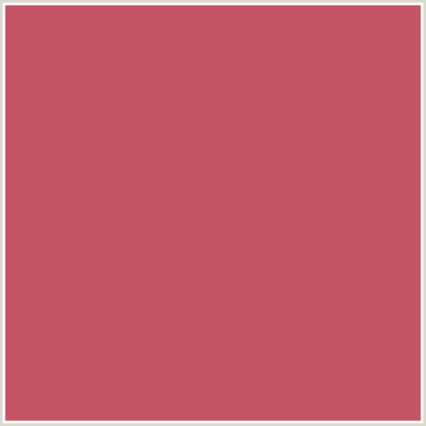 C45463 Hex Color Image (FUZZY WUZZY BROWN, RED)