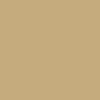 C5AB7D Hex Color Image ()