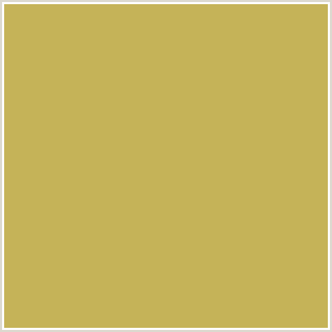 C5B358 Hex Color Image (SUNDANCE, YELLOW)