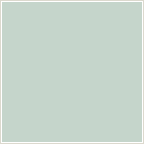 C5D5CB Hex Color Image (CONCH, GREEN BLUE)