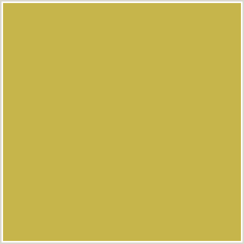 C6B54B Hex Color Image (TURMERIC, YELLOW)