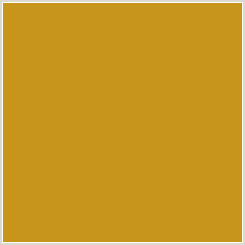 C7941C Hex Color Image (GEEBUNG, YELLOW ORANGE)