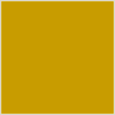 C89C00 Hex Color Image (BUDDHA GOLD, ORANGE YELLOW)