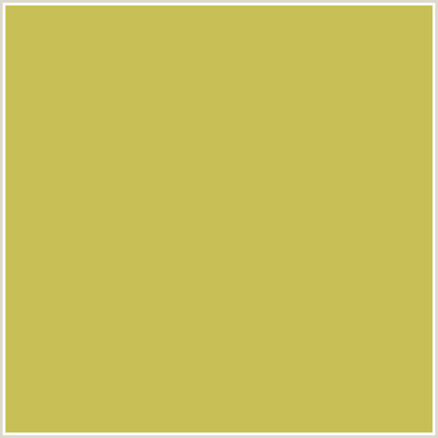 C8BF56 Hex Color Image (SUNDANCE, YELLOW)