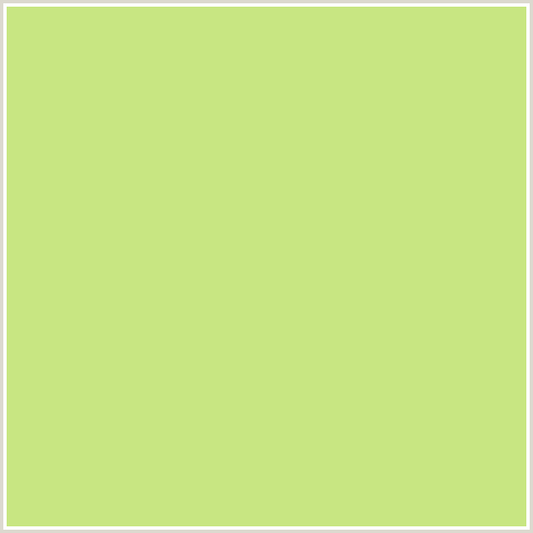 C8E682 Hex Color Image (GREEN YELLOW, YELLOW GREEN)