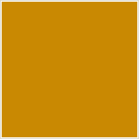 C98902 Hex Color Image (PIRATE GOLD, YELLOW ORANGE)