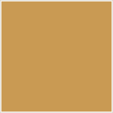 C99A53 Hex Color Image (ORANGE, TUSSOCK)