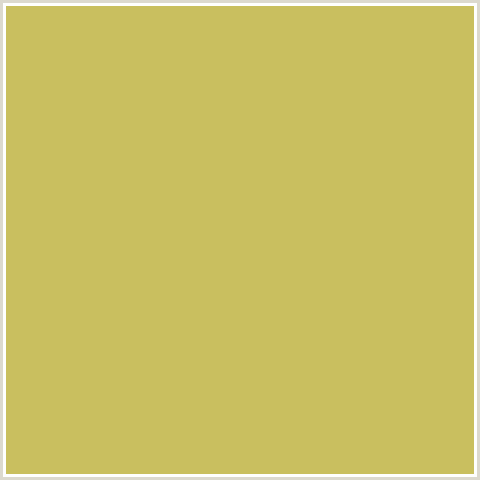 C9BF5F Hex Color Image (SUNDANCE, YELLOW)