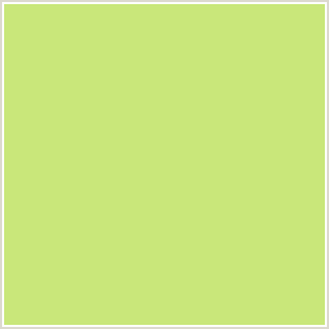 C9E77A Hex Color Image (GREEN YELLOW, YELLOW GREEN)