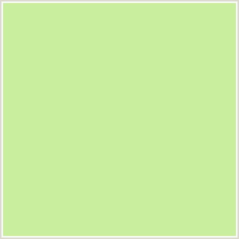 C9EE9E Hex Color Image (CAPER, GREEN YELLOW)