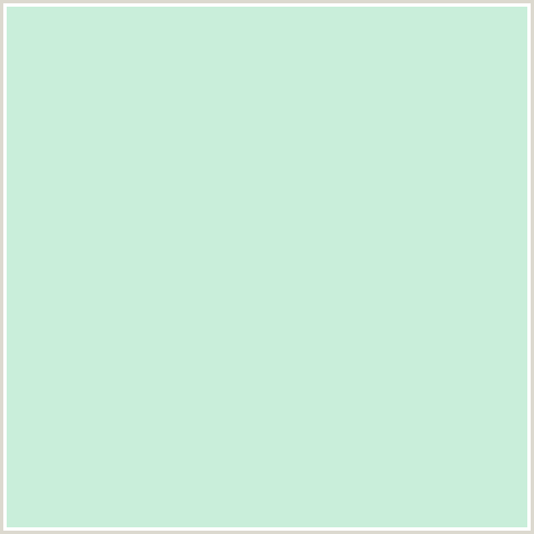 C9EEDA Hex Color Image (GREEN BLUE, TARA)