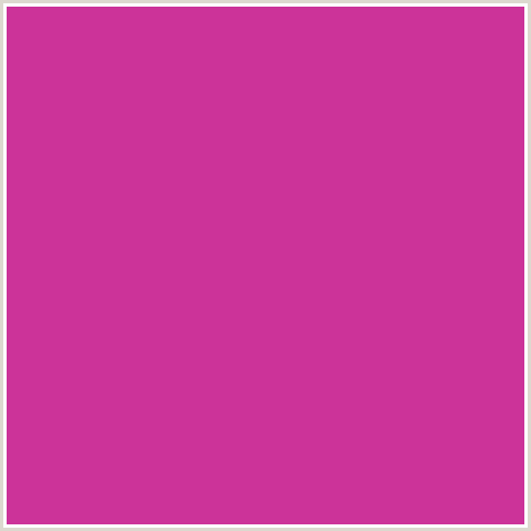 CC3399 Hex Color Image (DEEP PINK, FUCHSIA, FUSCHIA, HOT PINK, MAGENTA, RED VIOLET)