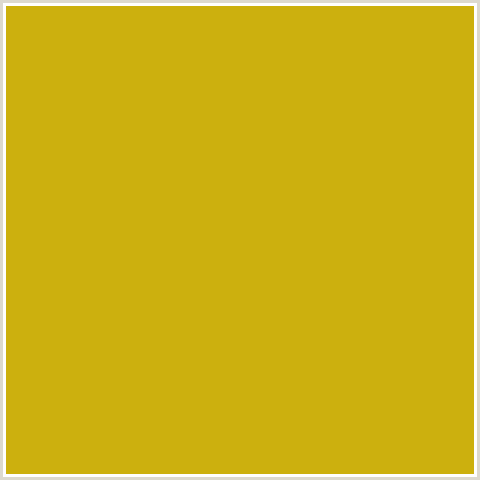 CCB00E Hex Color Image (GALLIANO, YELLOW)