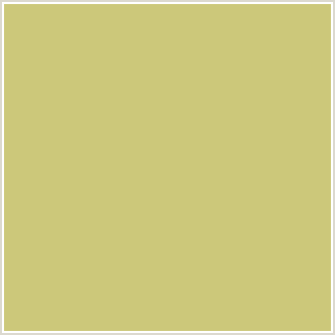 CCC87A Hex Color Image (WILD WILLOW, YELLOW)