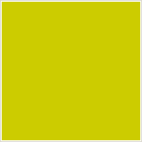 CCCC00 Hex Color Image (RIO GRANDE, YELLOW GREEN)