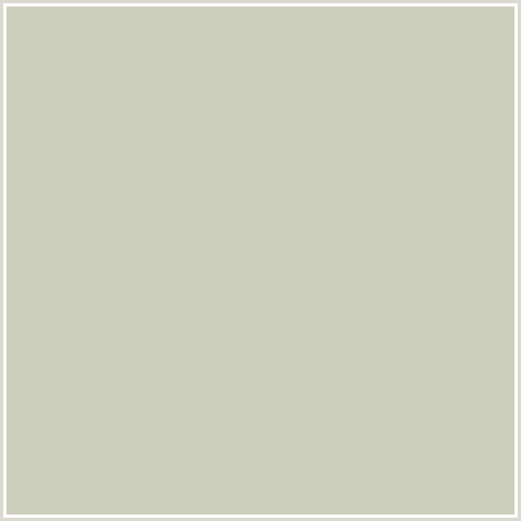 CCCFBC Hex Color Image (FOGGY GRAY, YELLOW GREEN)